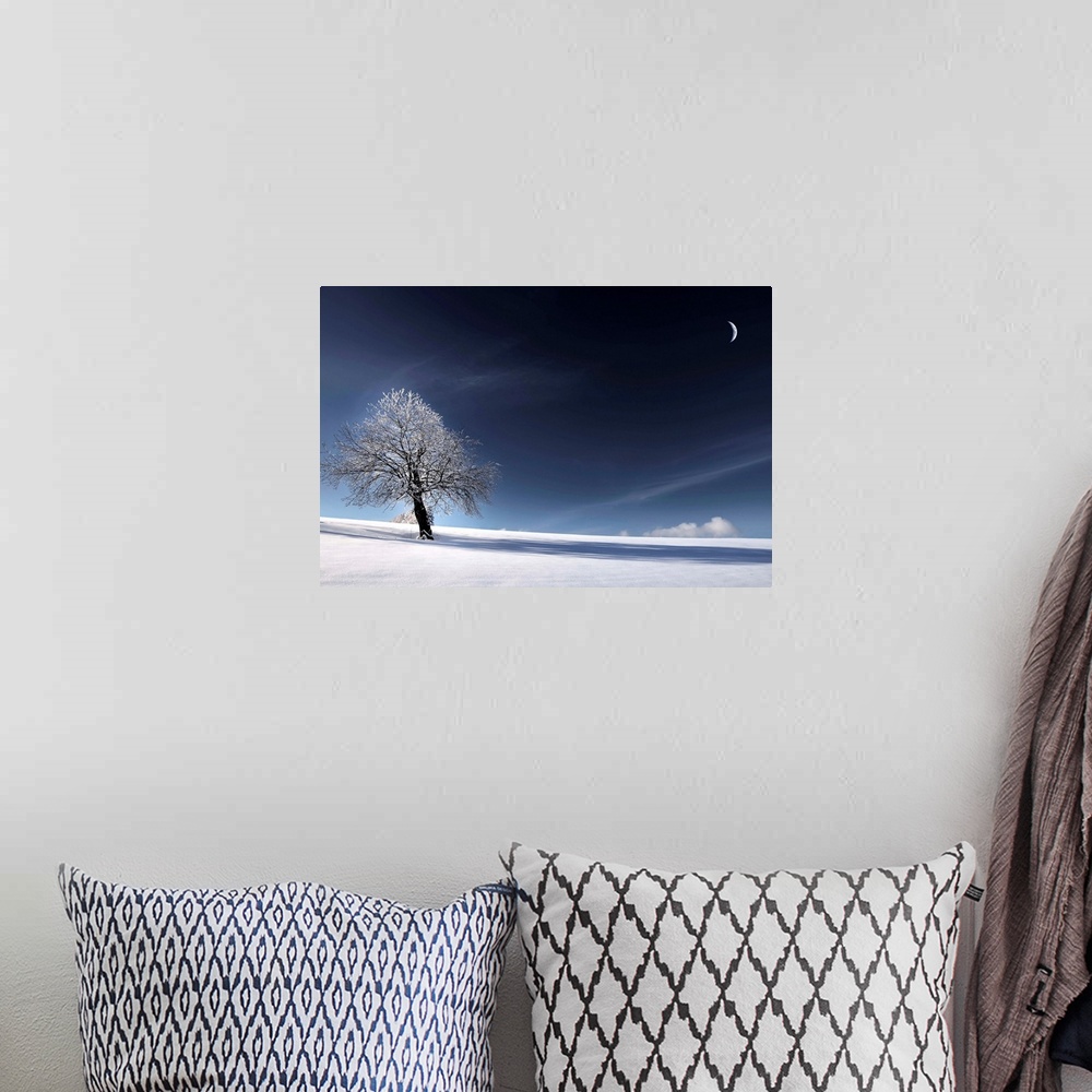 A bohemian room featuring Snowy landscape with the moon