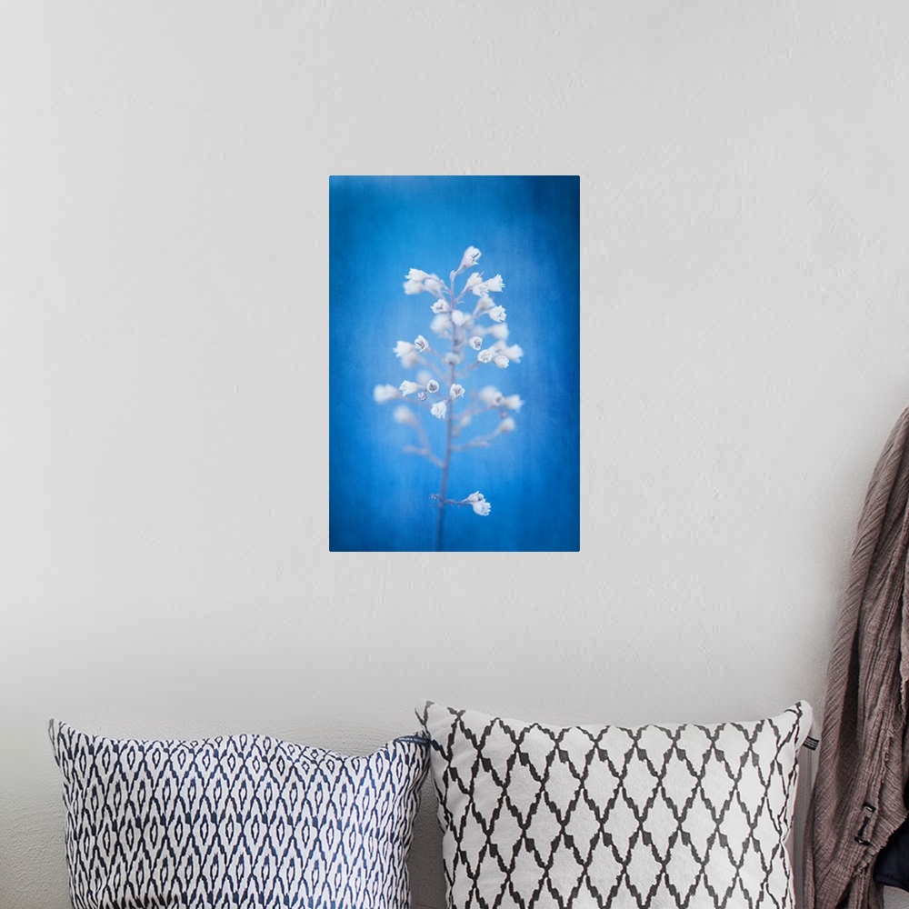 A bohemian room featuring A photograph of white flowers against a vibrant blue background.