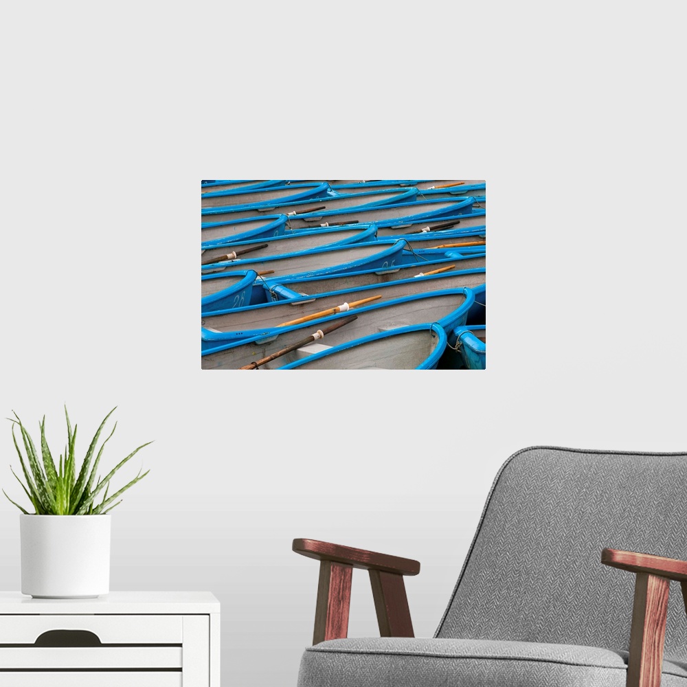 A modern room featuring Blue Rowboats