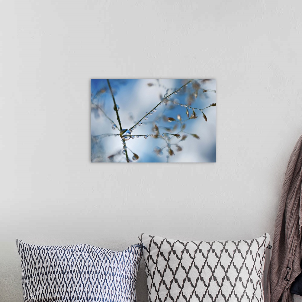 A bohemian room featuring A macro photograph of a water droplet hanging off a thin branch.
