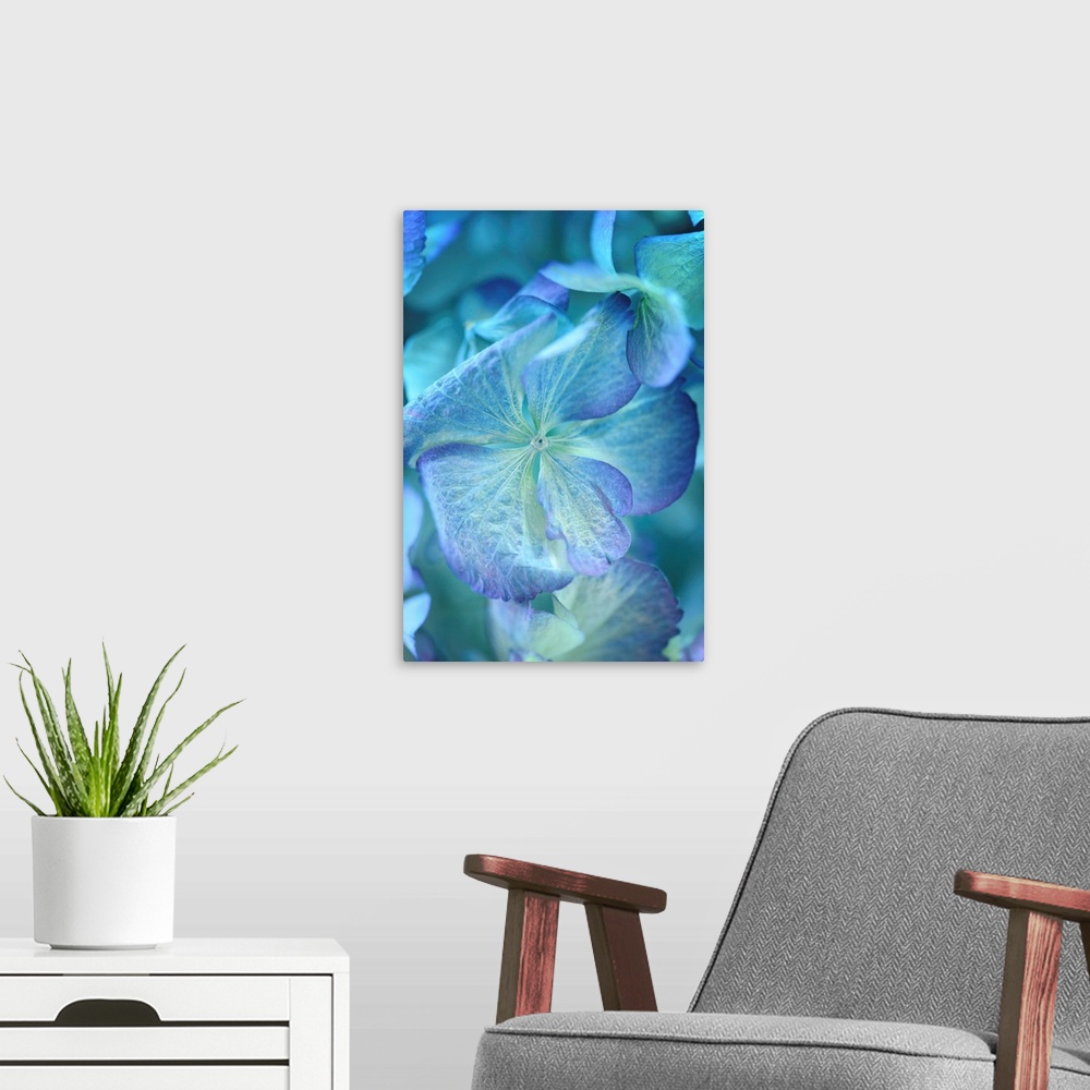 A modern room featuring Blue-dominant floral composition