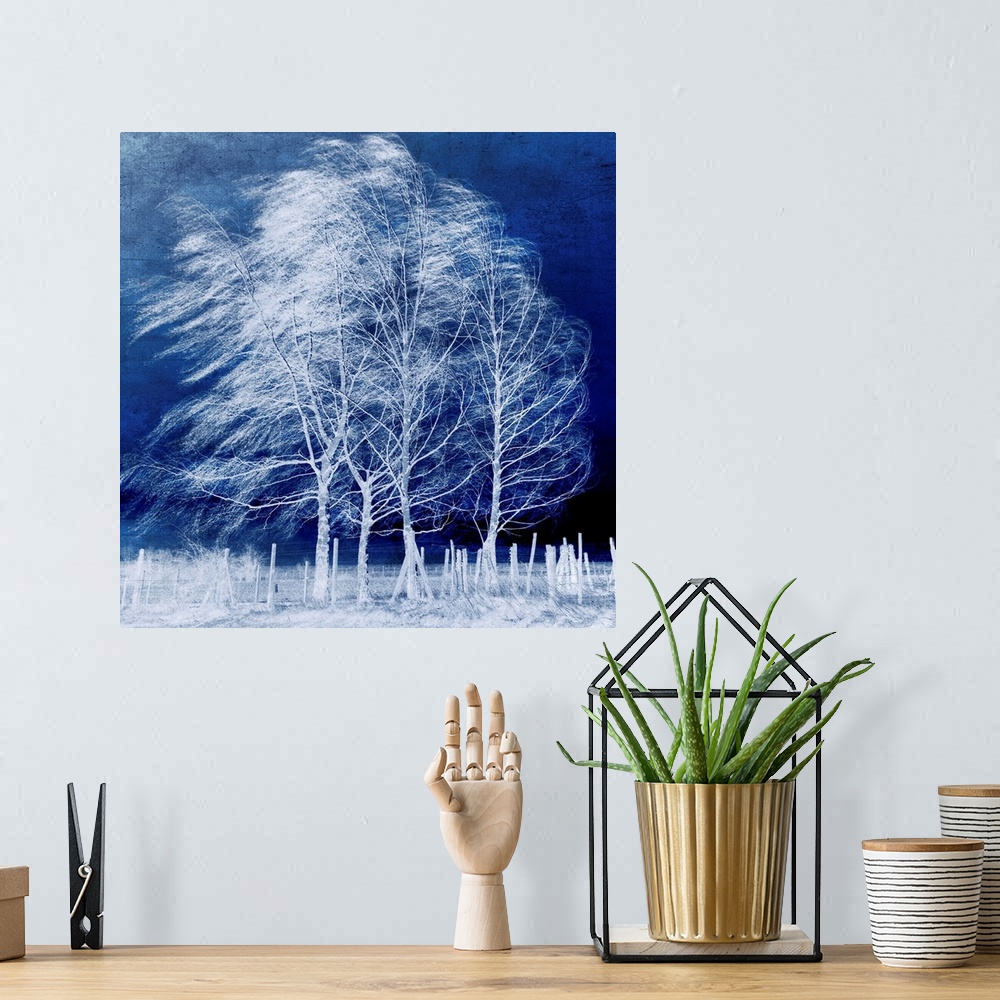A bohemian room featuring This large piece shows bare trees blowing in the winter wind with a fence and the ground almost p...
