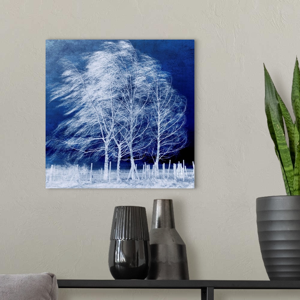 A modern room featuring This large piece shows bare trees blowing in the winter wind with a fence and the ground almost p...