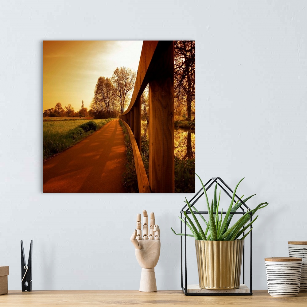 A bohemian room featuring Path in the countryside in autumn
