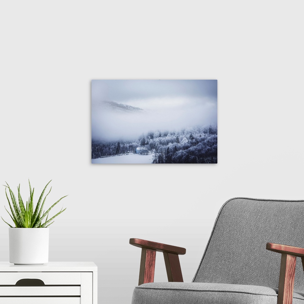 A modern room featuring Landscape of snow-covered fir trees in the middle of the mist