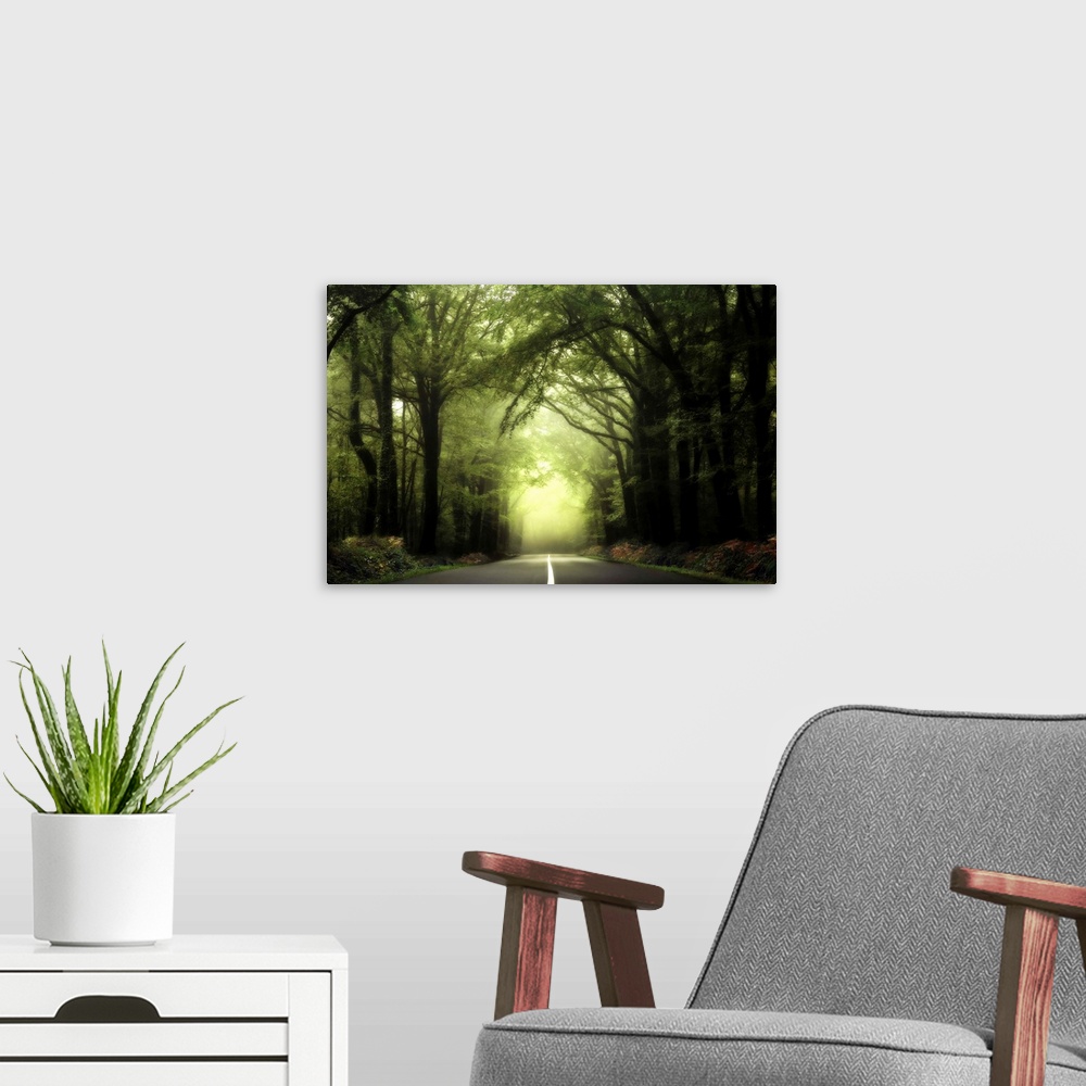 A modern room featuring A central large road with white separation, crossing the Broceliande foggy green forest in France...