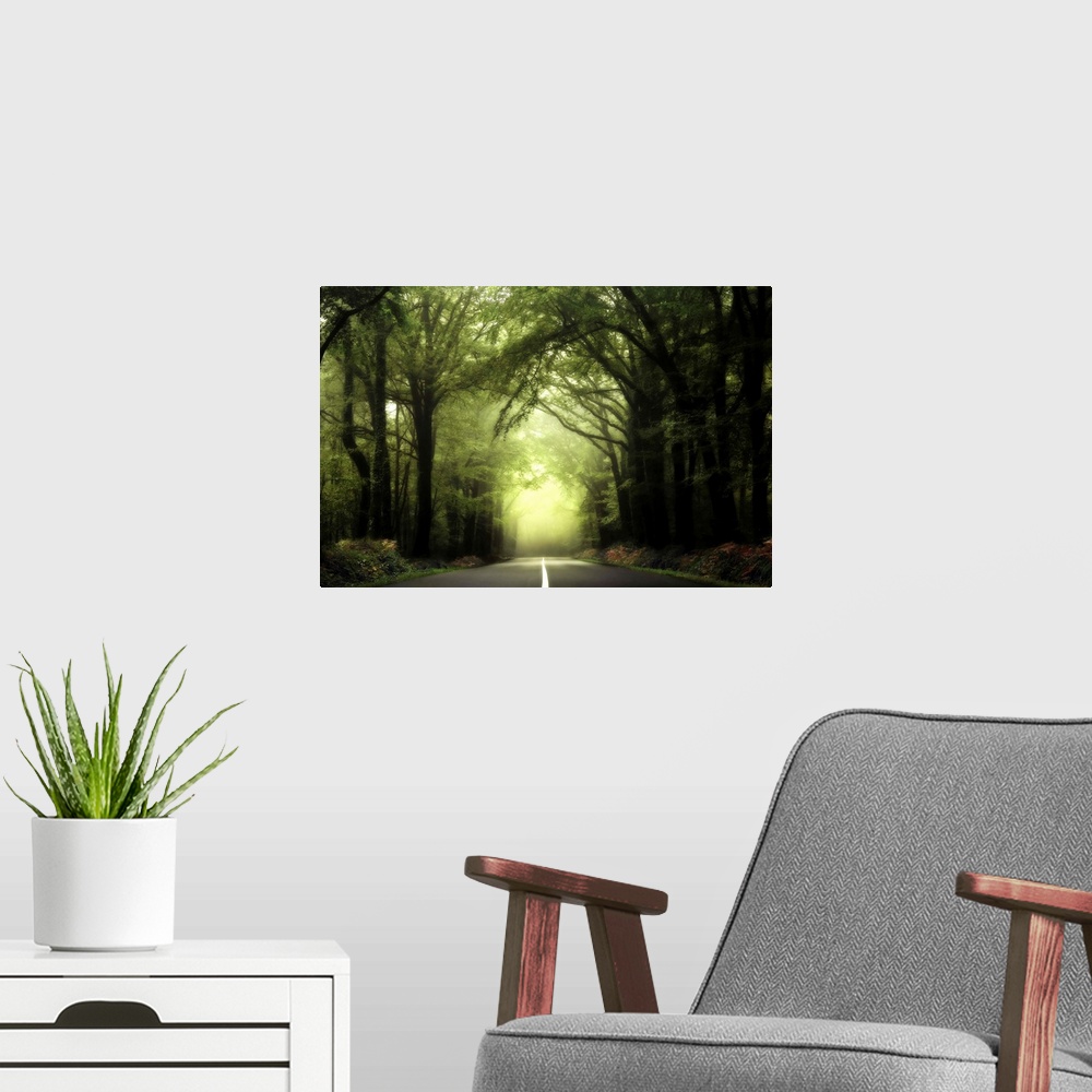 A modern room featuring A central large road with white separation, crossing the Broceliande foggy green forest in France...