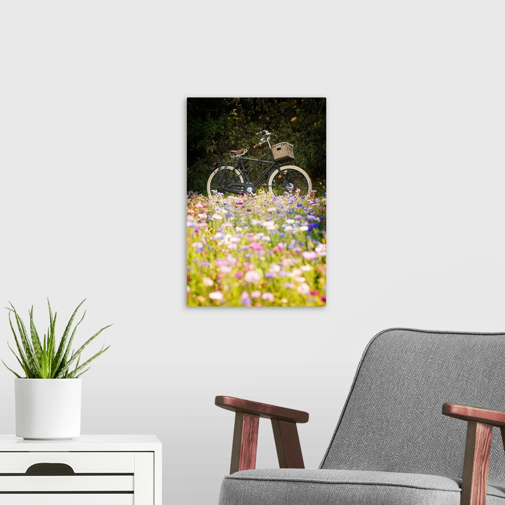 A modern room featuring A bicycle behind a colorful flower field