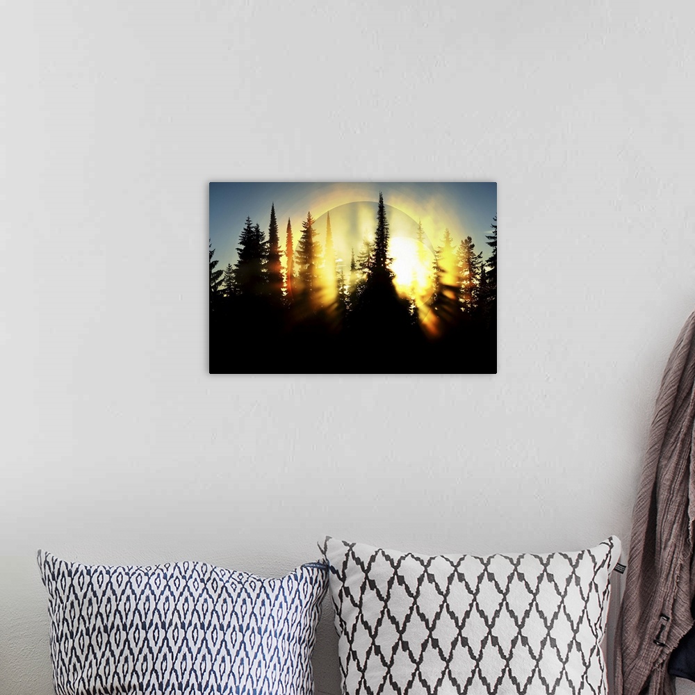 A bohemian room featuring A photograph of a forest canopy silhouetted by the rising sun.