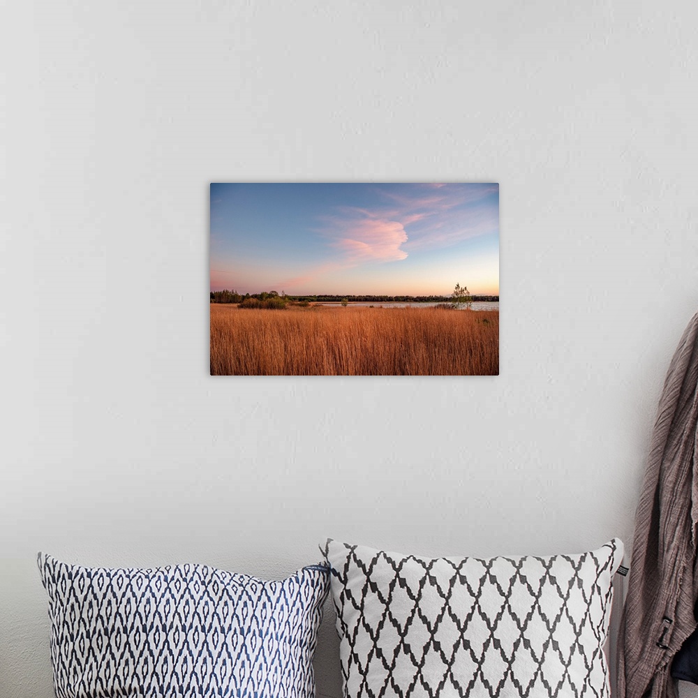 A bohemian room featuring Tall grass along the water at sunset