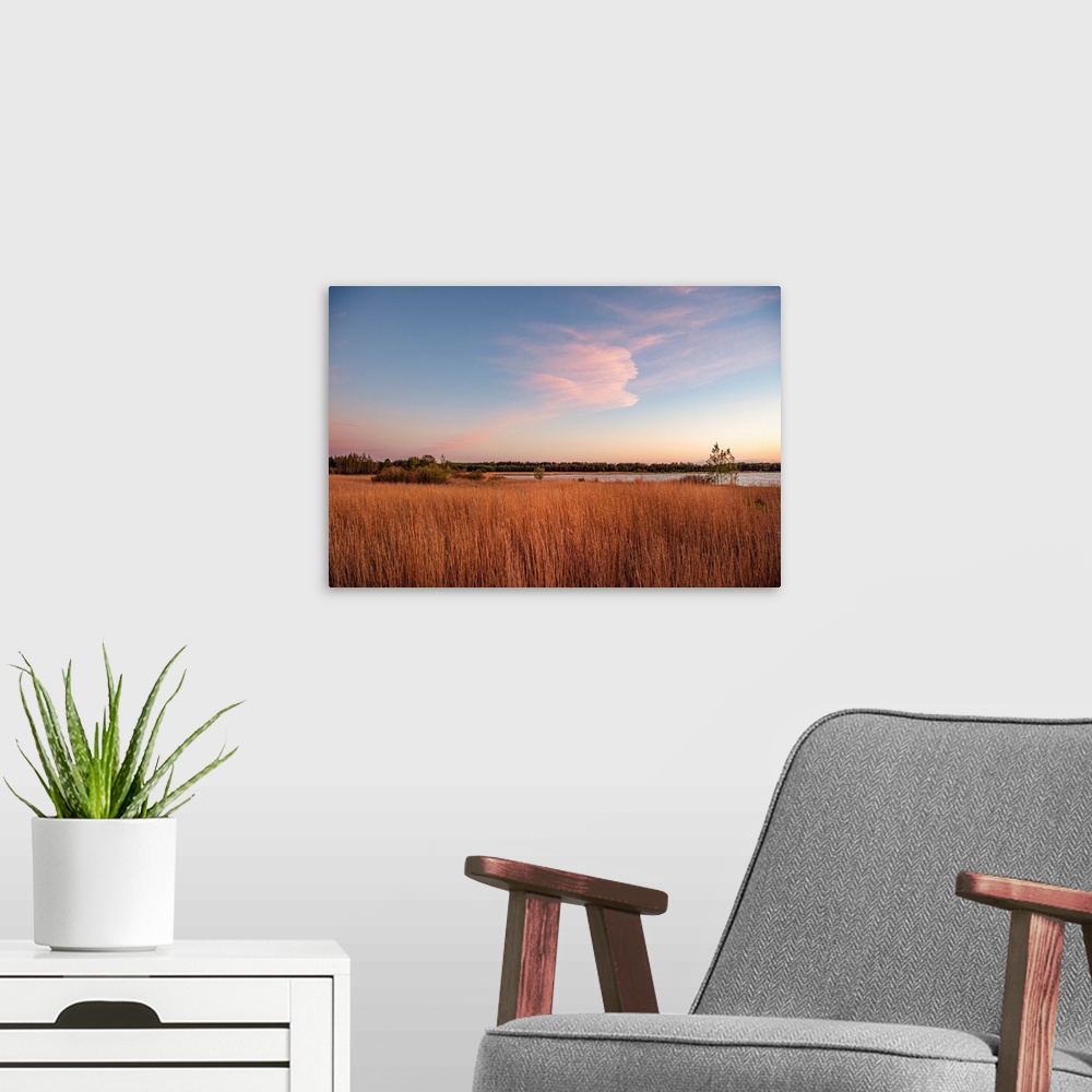 A modern room featuring Tall grass along the water at sunset