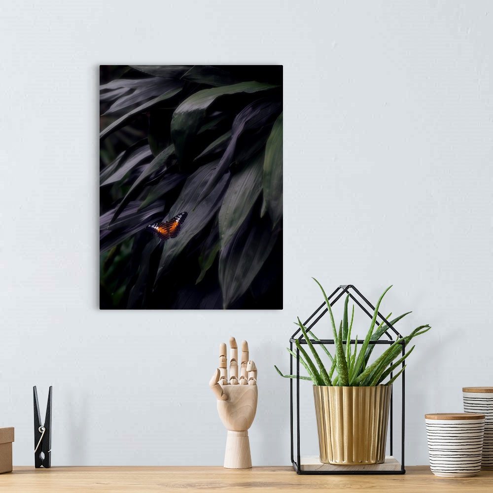 A bohemian room featuring Photograph of an orange, black, and white butterfly on a large, dark leaf.