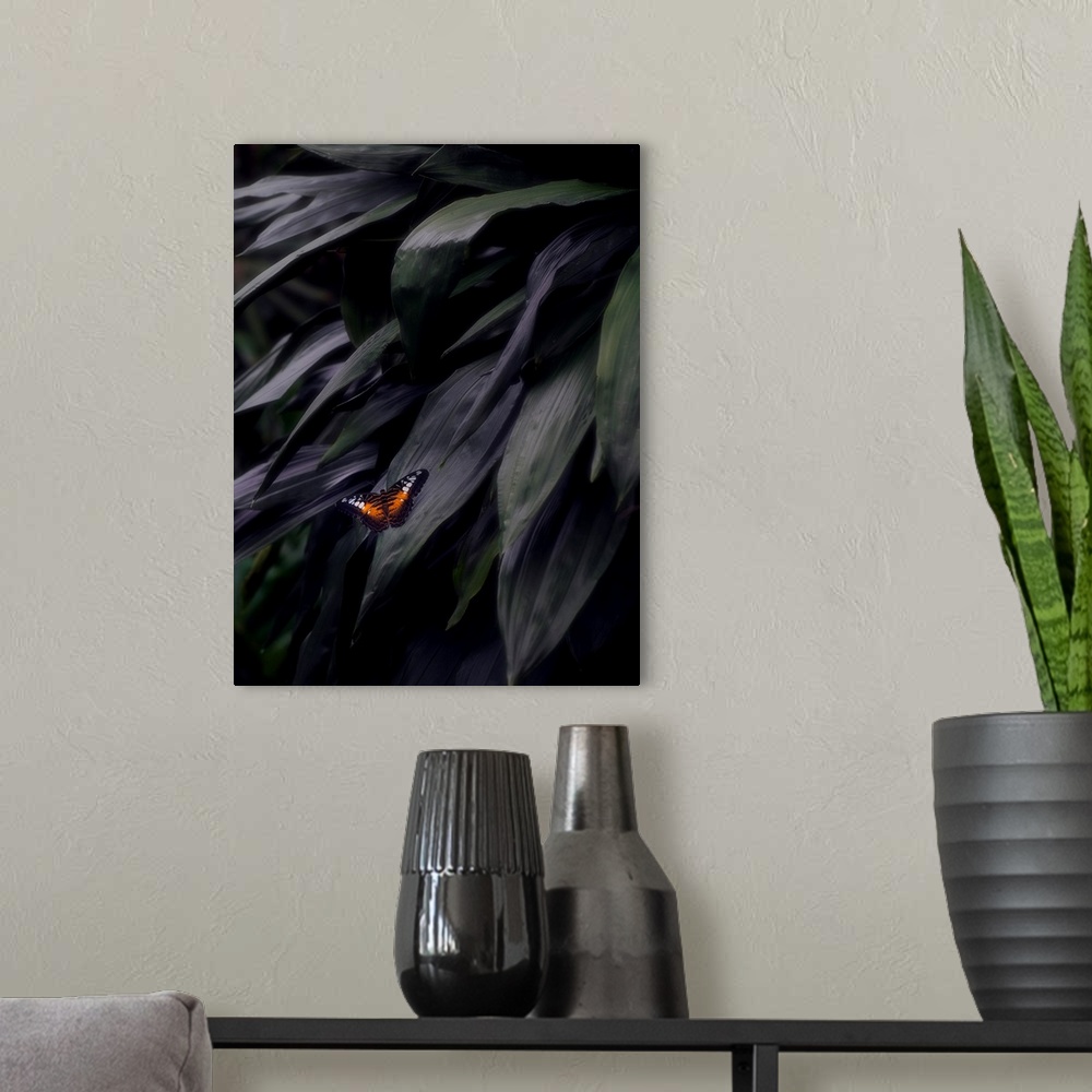 A modern room featuring Photograph of an orange, black, and white butterfly on a large, dark leaf.