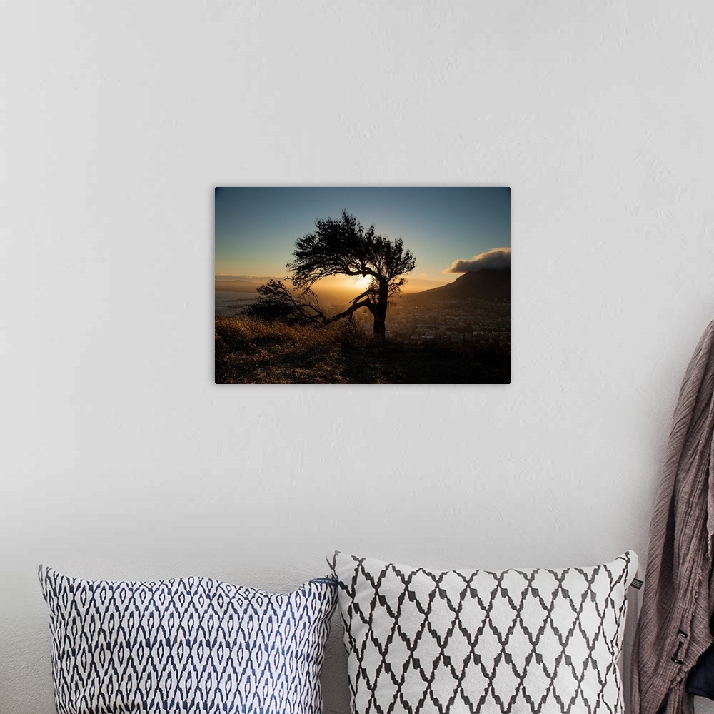 A bohemian room featuring A photo of a lone tree with a broken limb on a hill over a city with the sun shining behind.