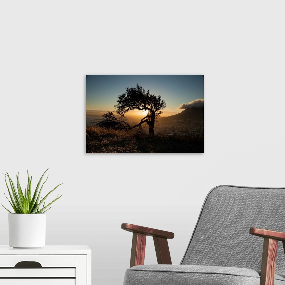 A modern room featuring A photo of a lone tree with a broken limb on a hill over a city with the sun shining behind.