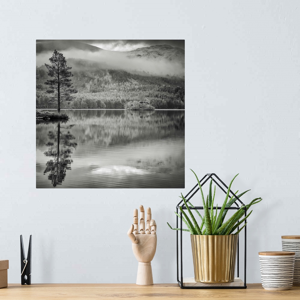 A bohemian room featuring A monochrome lake with beautiful reflections of the trees and hills from the Scottish Cairngorm N...