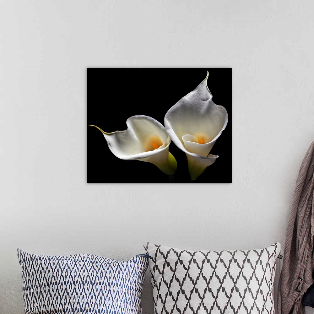 A bohemian room featuring Oversized art of two lilies against a black background.