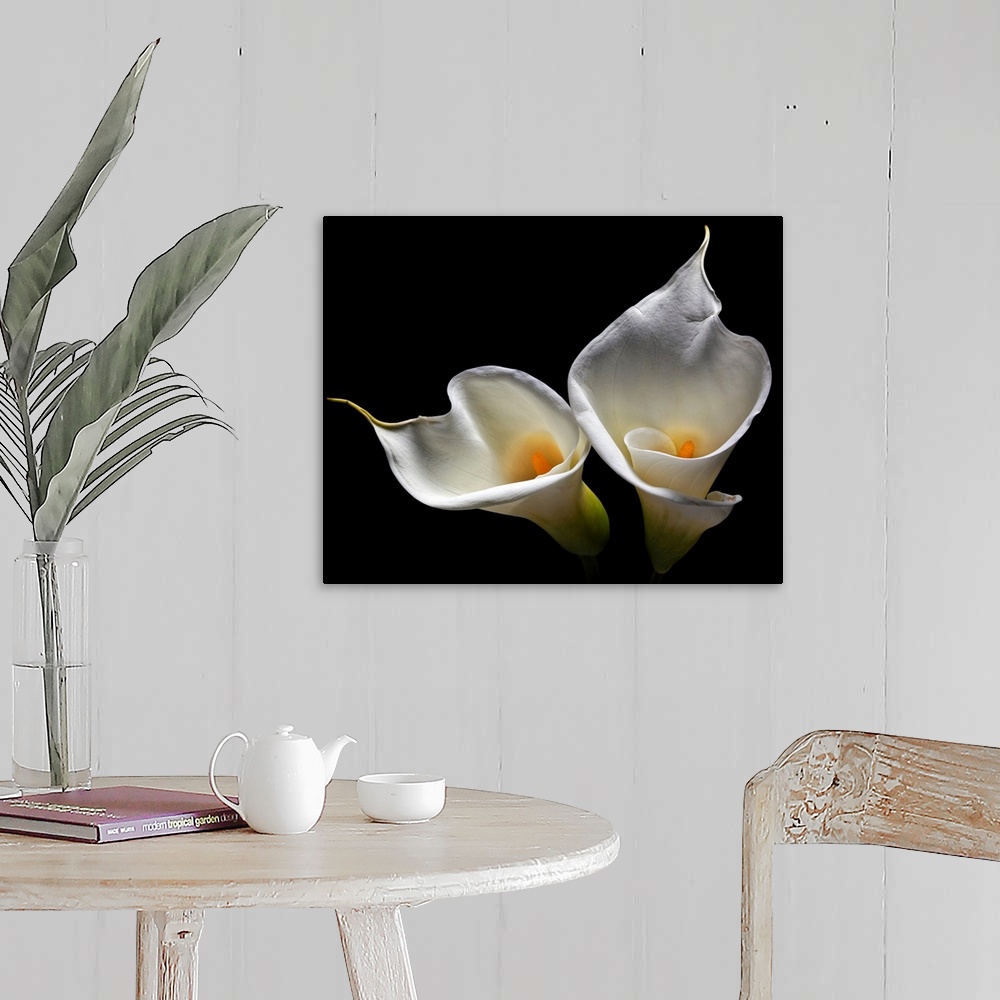 A farmhouse room featuring Oversized art of two lilies against a black background.