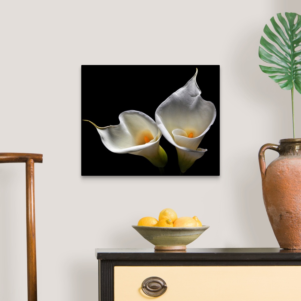 A traditional room featuring Oversized art of two lilies against a black background.