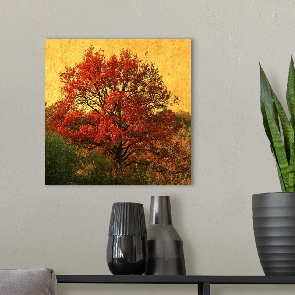 A modern room featuring A red tree in autumn