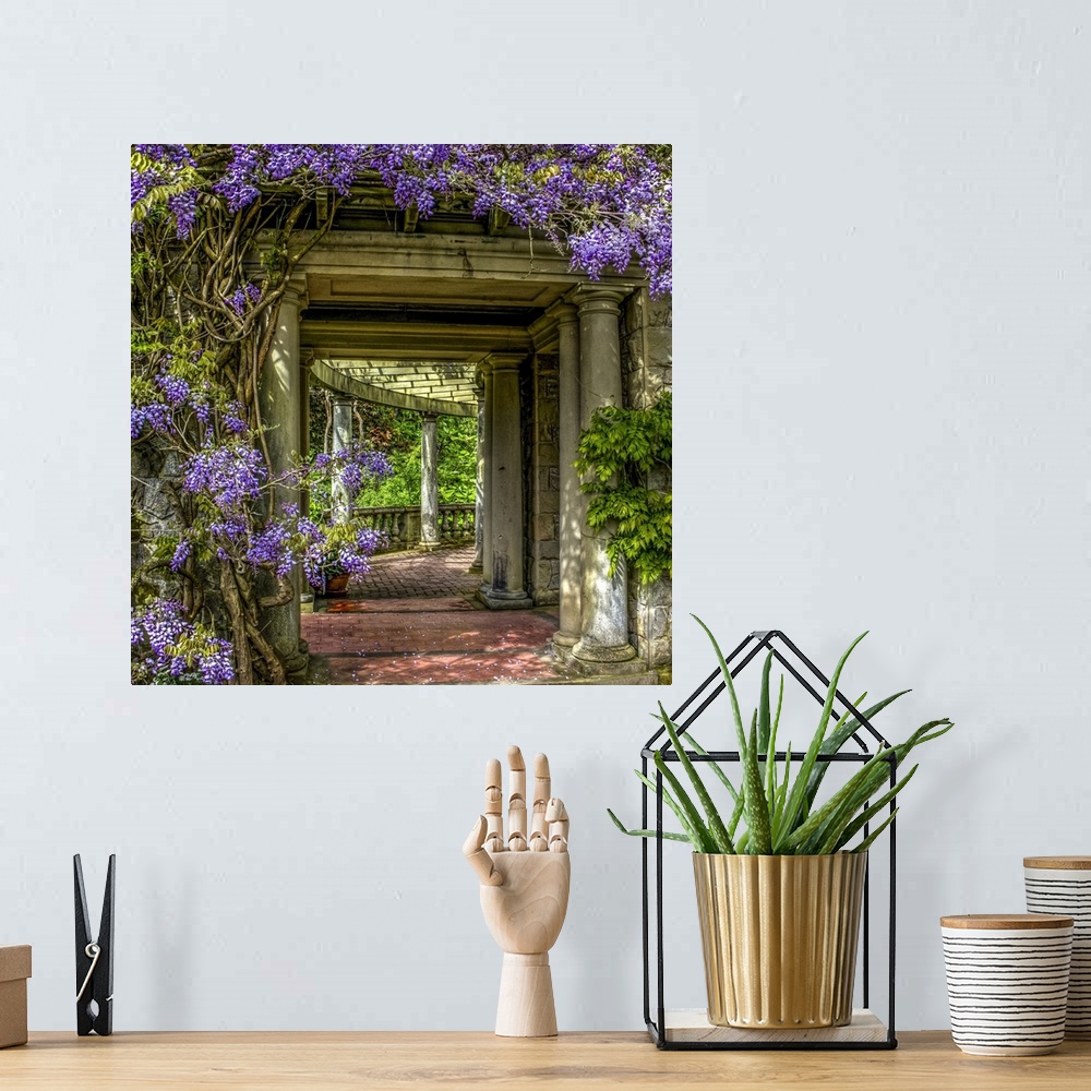 A bohemian room featuring A pretty scene of wisteria in the gardens of Hatley Castle located on Vancouver Island.
