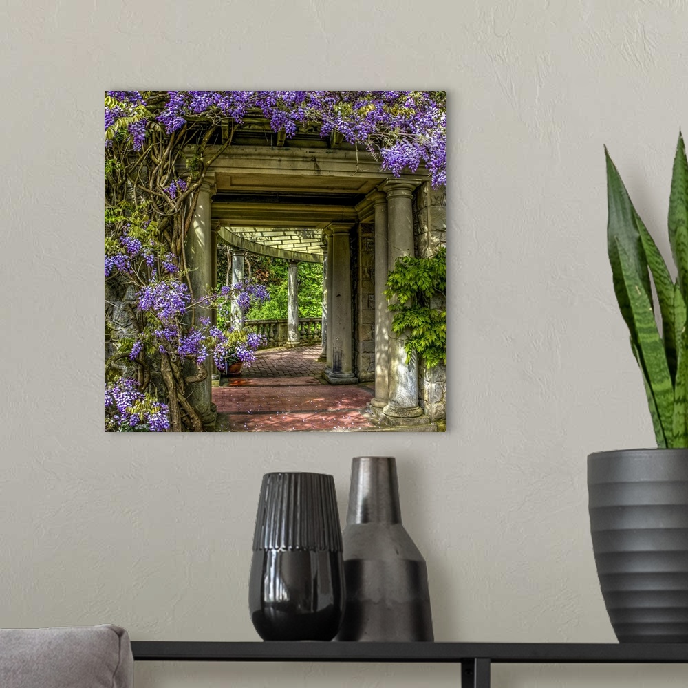 A modern room featuring A pretty scene of wisteria in the gardens of Hatley Castle located on Vancouver Island.