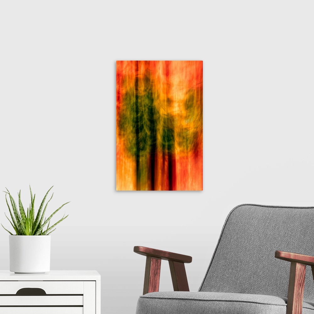 A modern room featuring Blurred motion photograph of trees in deep red light, from Ursula Abresch's Impressionist Trees S...