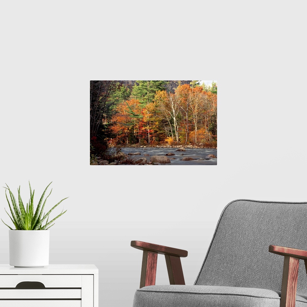 A modern room featuring Huge photograph displays the Swift River within White Mountains National Forest in New Hampshire ...
