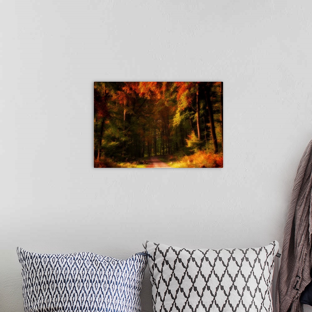 A bohemian room featuring Colorful forest in autumn