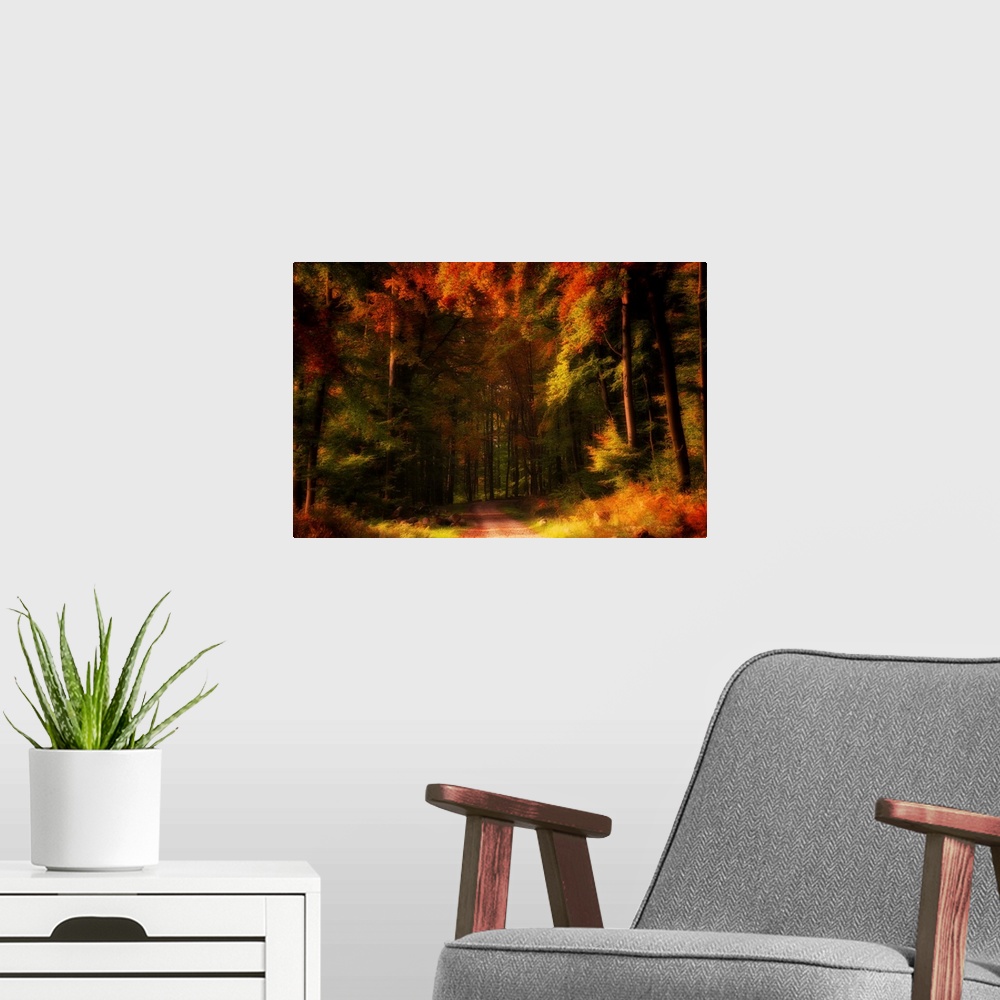A modern room featuring Colorful forest in autumn