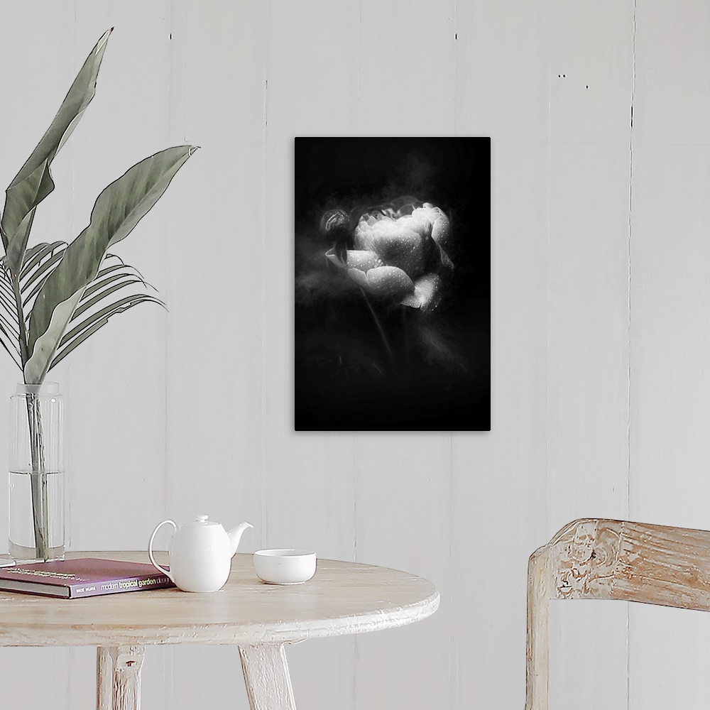 A farmhouse room featuring Soft focus black and white image of a rose covered in water droplets and smoke around the sides g...