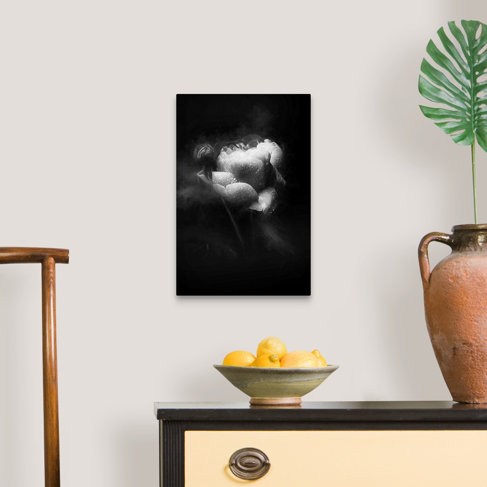 A traditional room featuring Soft focus black and white image of a rose covered in water droplets and smoke around the sides g...
