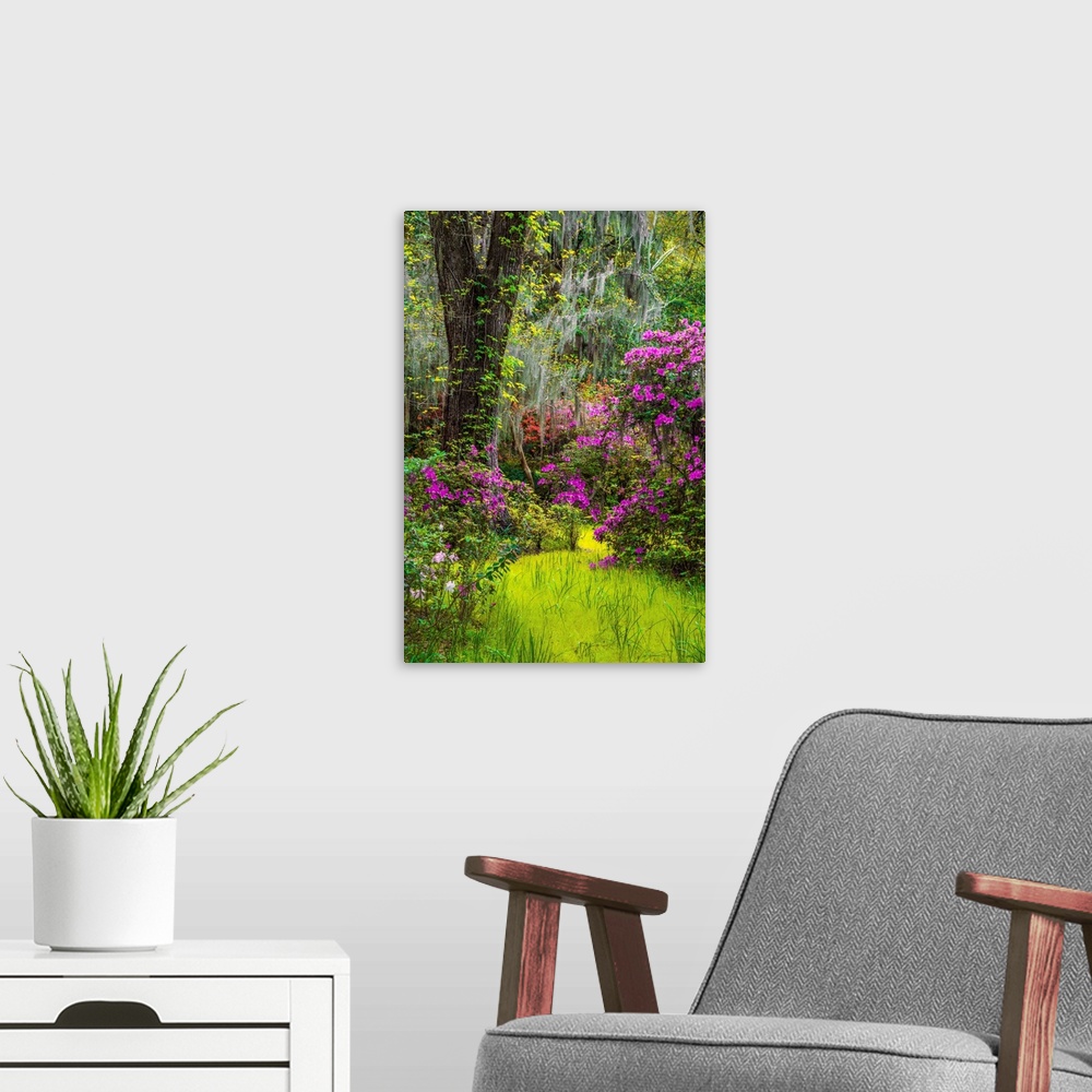 A modern room featuring Bright purple flowers blooming in a mossy forest in Charleston, South Carolina.