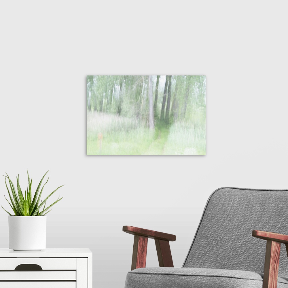 A modern room featuring Artistically blurred photo. A bright sunny day in a forest in the nature reserve Ooijpolder near ...