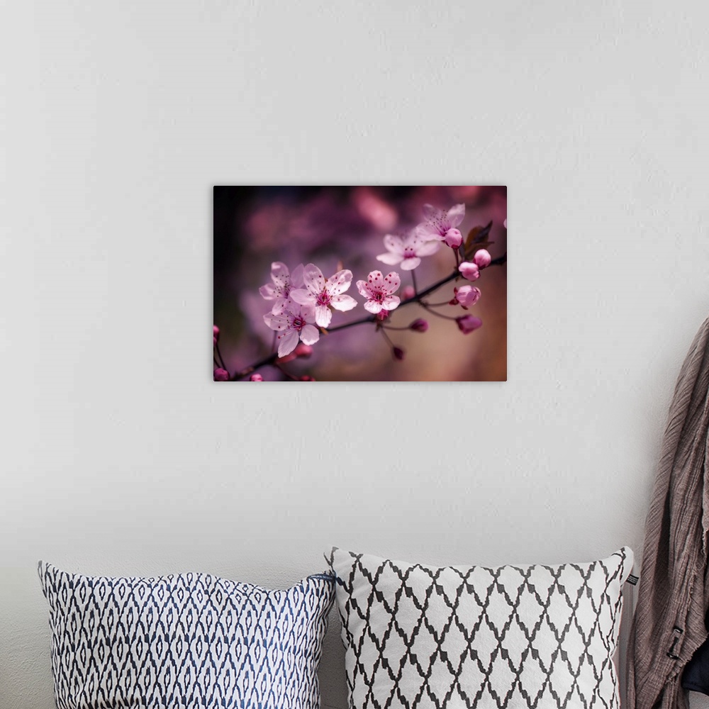 A bohemian room featuring A close-up photograph of pink cherry blossoms.