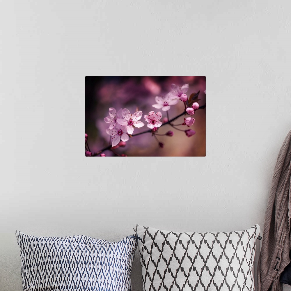 A bohemian room featuring A close-up photograph of pink cherry blossoms.