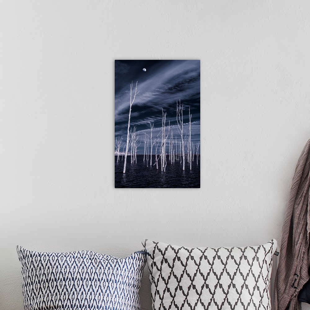 A bohemian room featuring Slender white bare trees growing from the water, with the moon in the night sky above.