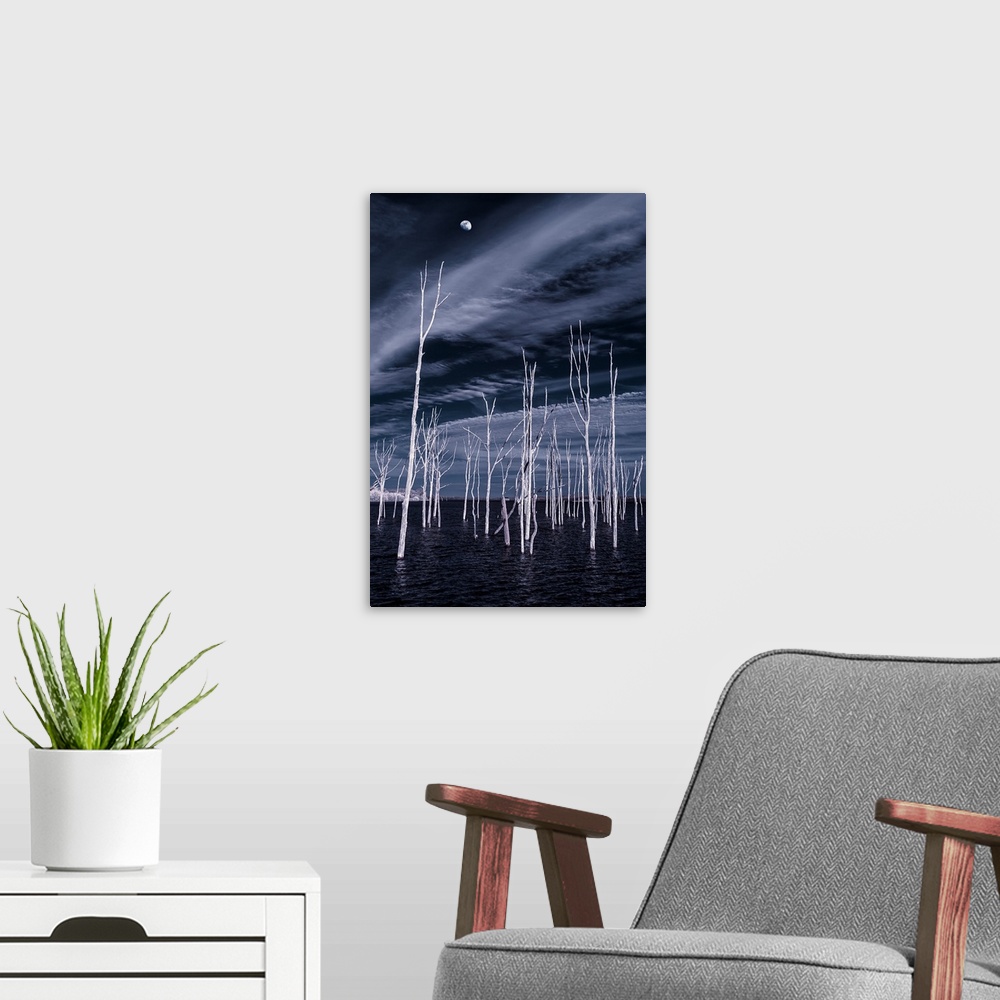 A modern room featuring Slender white bare trees growing from the water, with the moon in the night sky above.