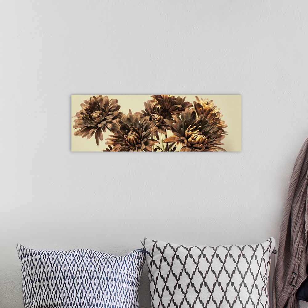 A bohemian room featuring A bouquet of chrysanthemum.