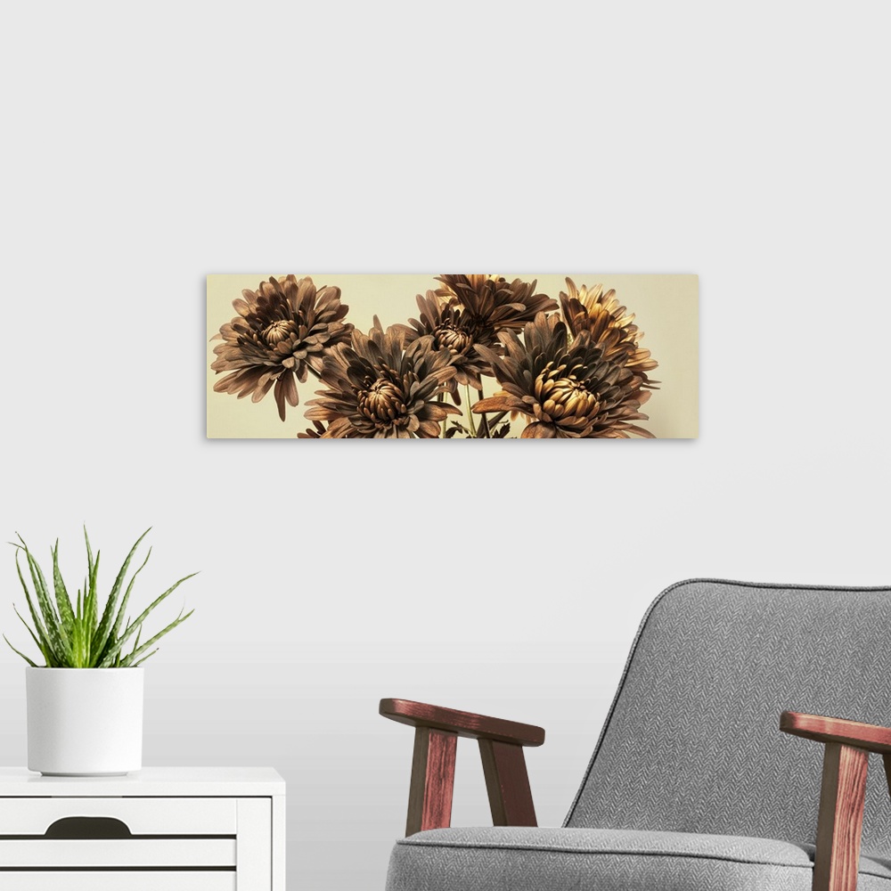 A modern room featuring A bouquet of chrysanthemum.