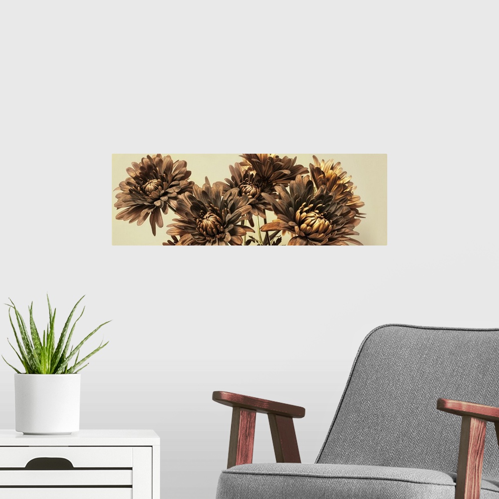 A modern room featuring A bouquet of chrysanthemum.