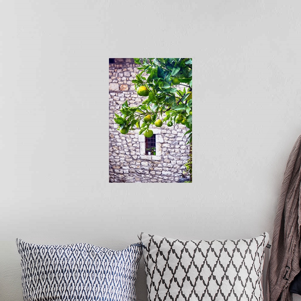 A bohemian room featuring A tree with ripening lemons in front of a stone building with a small window.