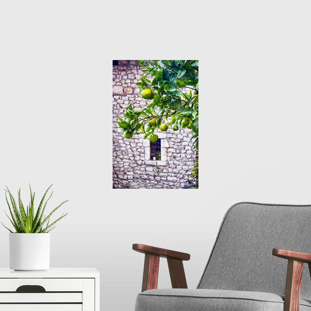 A modern room featuring A tree with ripening lemons in front of a stone building with a small window.