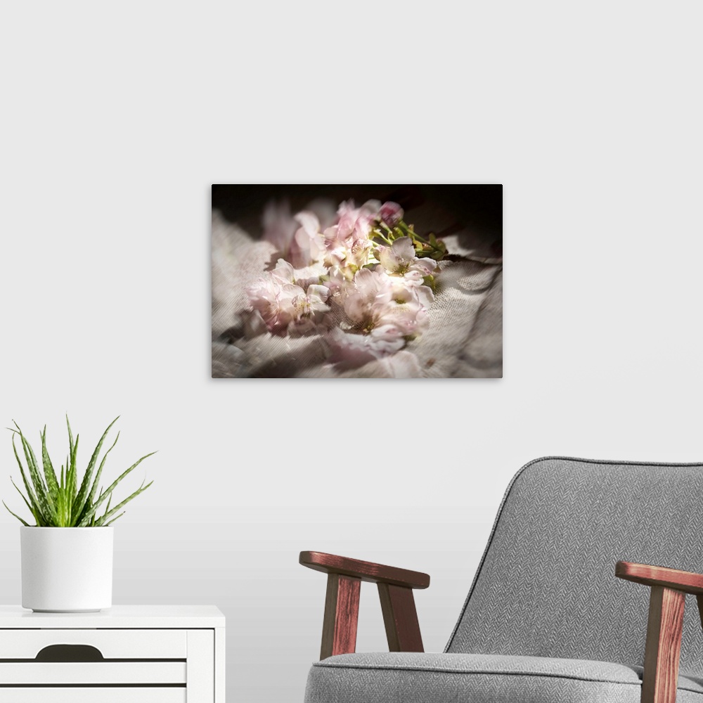 A modern room featuring Dreamy photograph of cherry blossom flowers on linen with multiple exposures.
