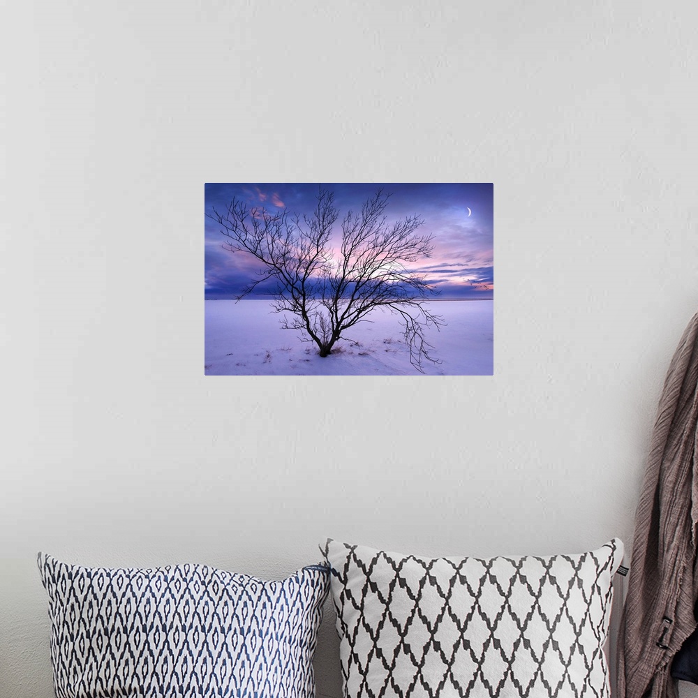 A bohemian room featuring A photograph of a winter landscape with a bare branched tree in the foreground.