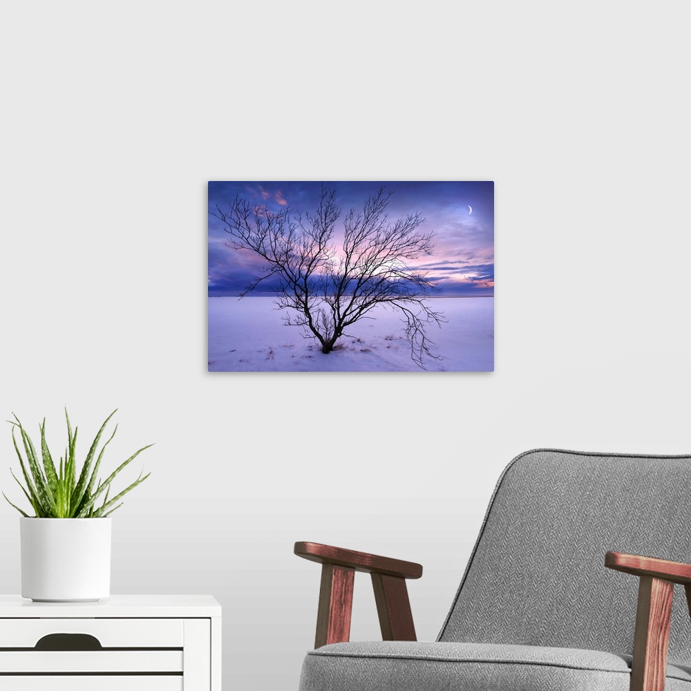 A modern room featuring A photograph of a winter landscape with a bare branched tree in the foreground.