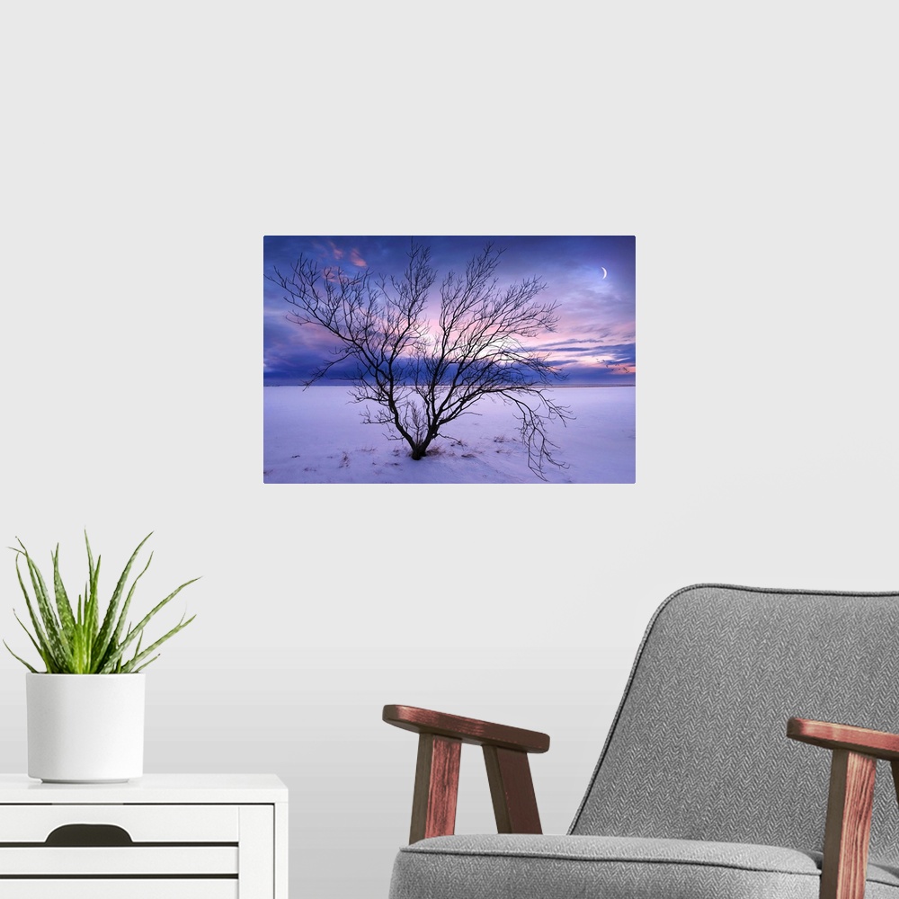 A modern room featuring A photograph of a winter landscape with a bare branched tree in the foreground.