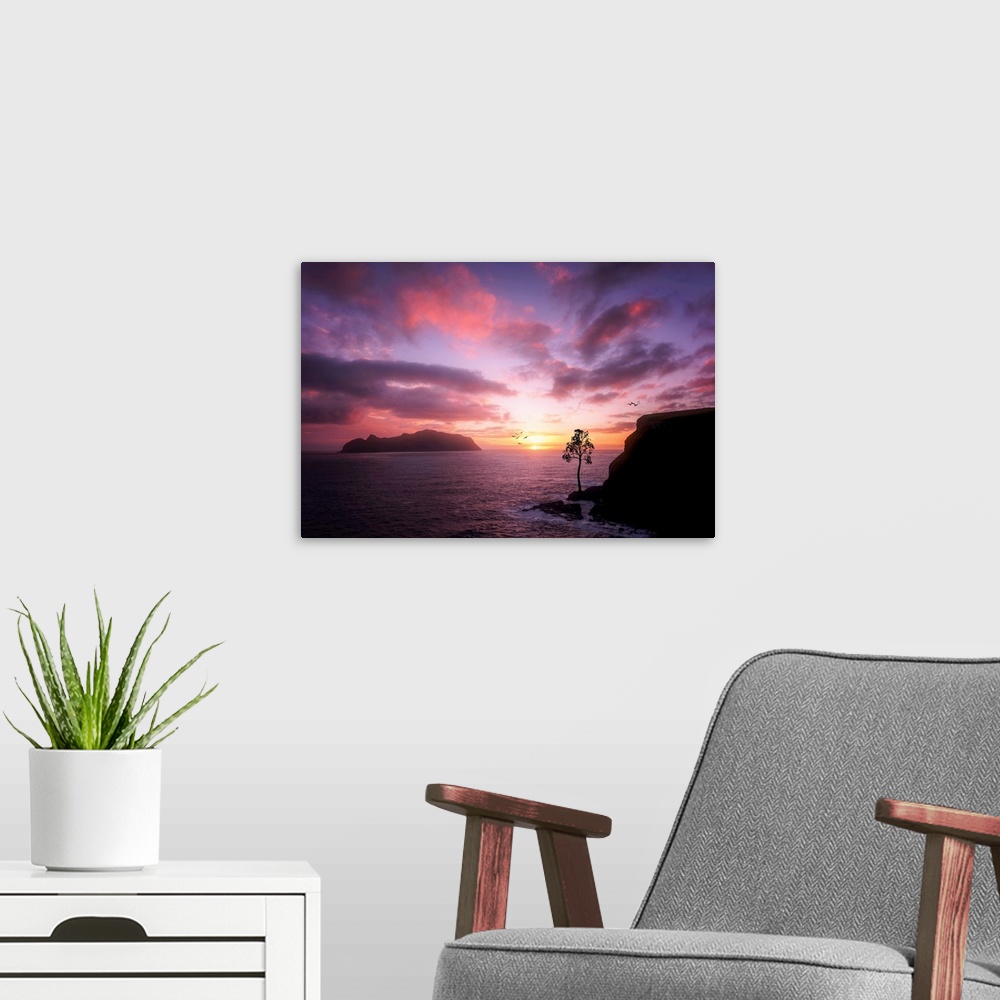 A modern room featuring Rocky cliffs on the ocean under a cloudy sky lit up with sunset light.