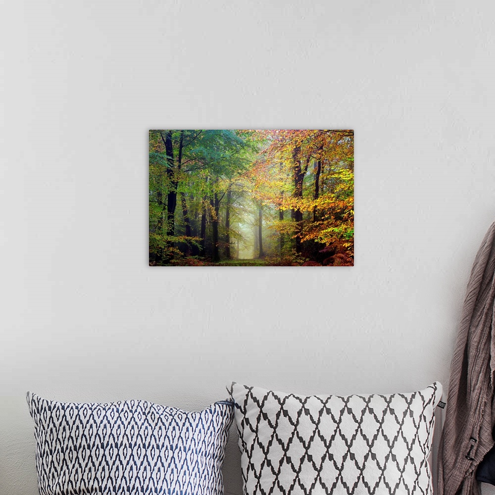 A bohemian room featuring Fine art photo of a path through the misty woods in the fall.