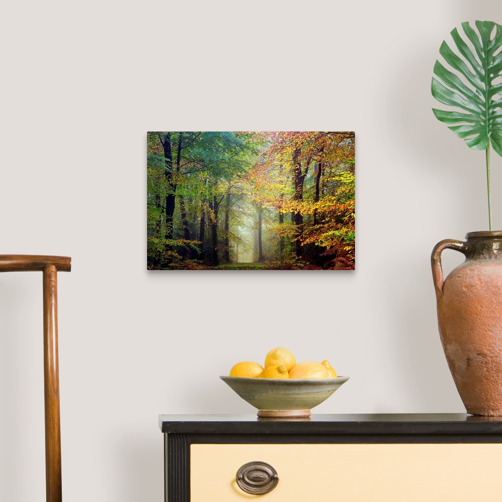 A traditional room featuring Fine art photo of a path through the misty woods in the fall.